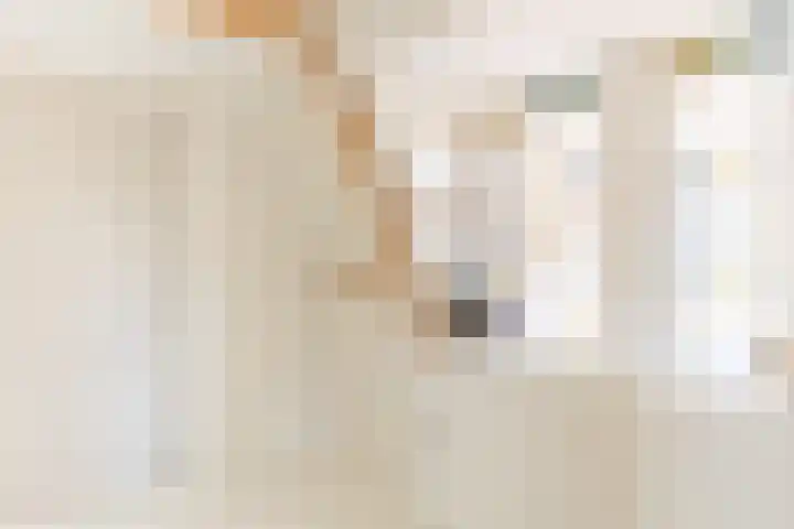 Rechtestraat 31 De Rijp thumbnail 17