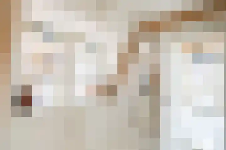 Rechtestraat 31 De Rijp thumbnail 18