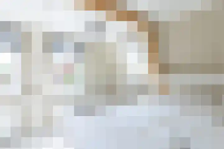 Rechtestraat 31 De Rijp thumbnail 29