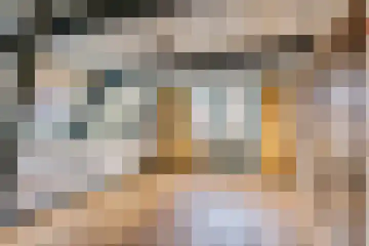 Rechtestraat 48 De Rijp thumbnail 22