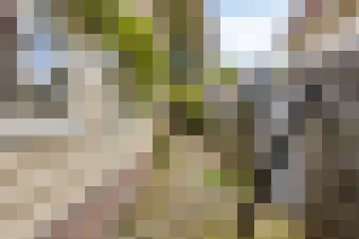 Rechtestraat 48 De Rijp thumbnail 30