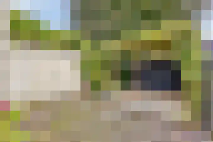 Rechtestraat 48 De Rijp thumbnail 32