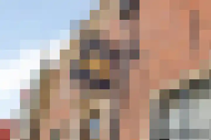 Rechtestraat 48 De Rijp thumbnail 33