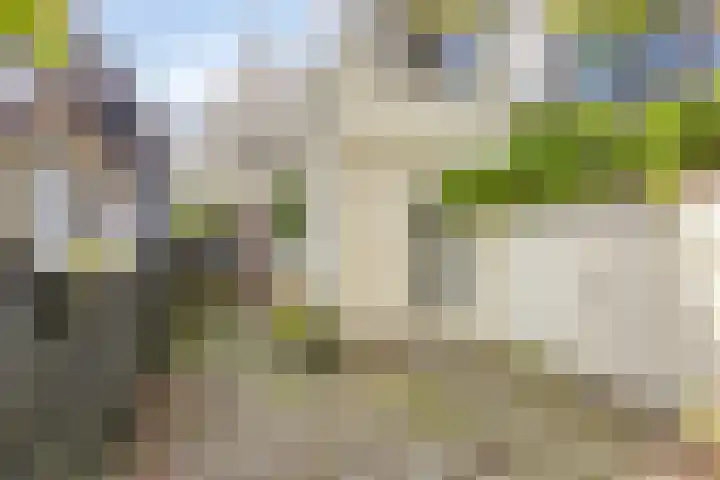 Rechtestraat 48 De Rijp thumbnail 5