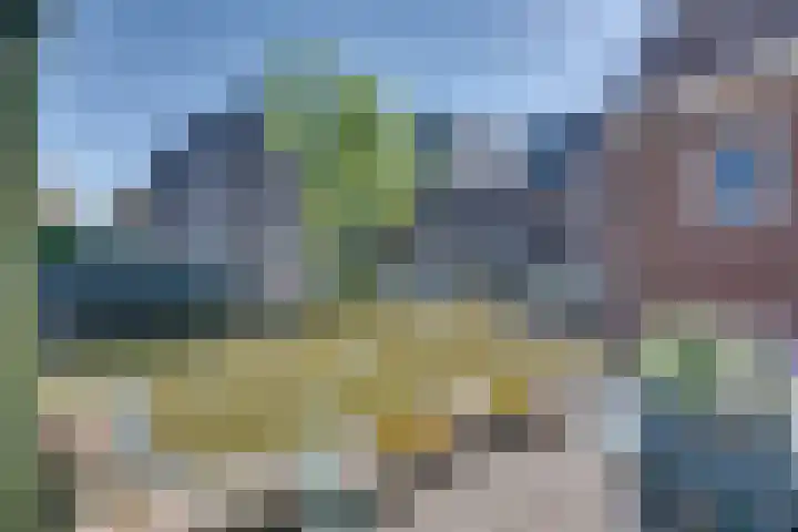 Rechtestraat 59 De Rijp thumbnail 31