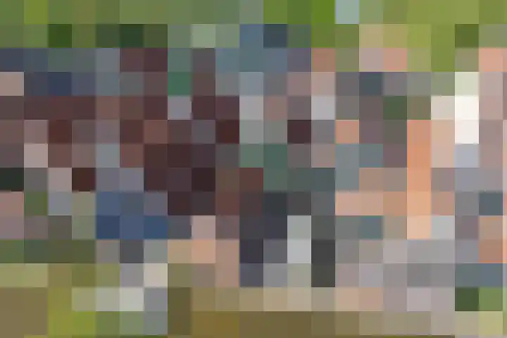 Rechtestraat 59 De Rijp thumbnail 62