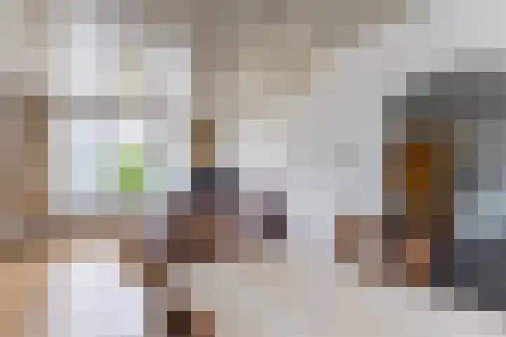 Rechtestraat 6 Wilbertoord thumbnail 10