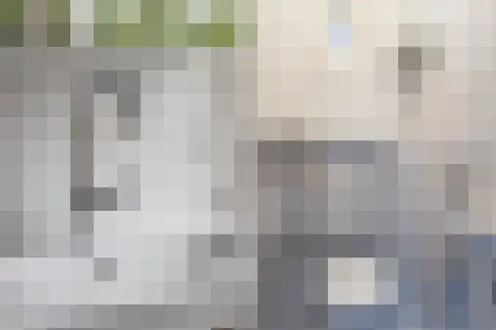 Rechtestraat 6 Wilbertoord thumbnail 21