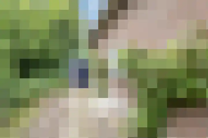 Rechtestraat 6 Wilbertoord thumbnail 39