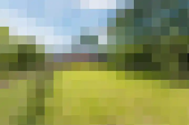 Rechtestraat 6 Wilbertoord thumbnail 41