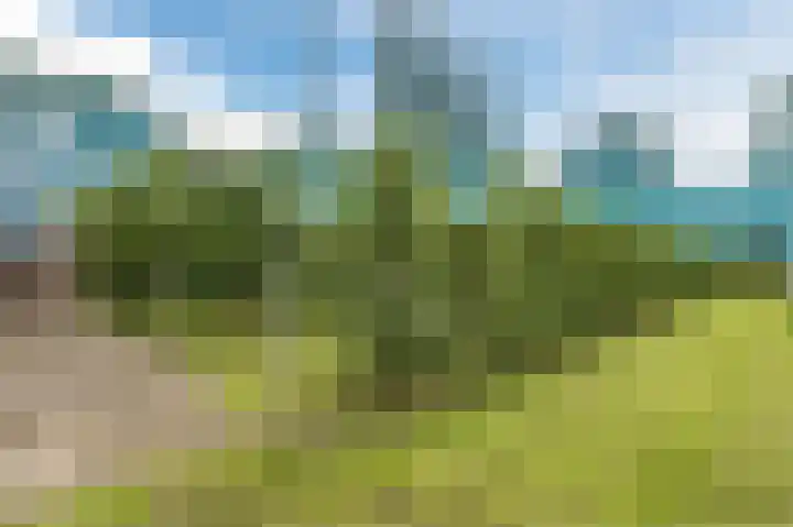Rechtestraat 6 Wilbertoord thumbnail 42