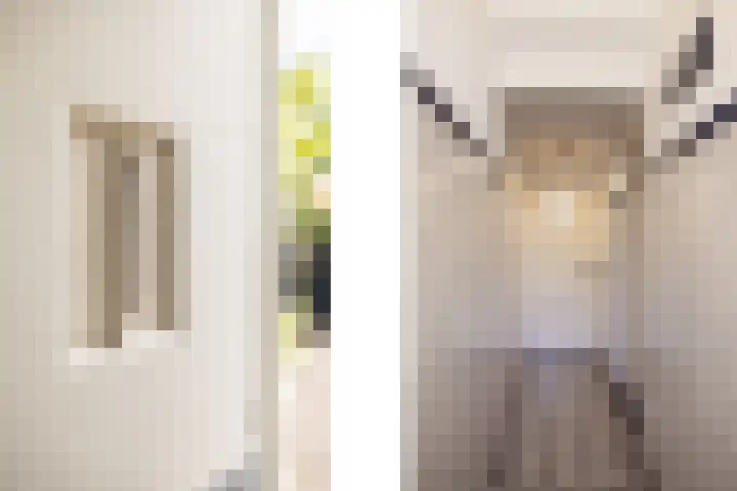 Rechtestraat 72 De Rijp thumbnail 11