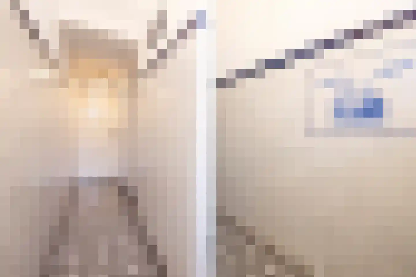 Rechtestraat 72 De Rijp thumbnail 12