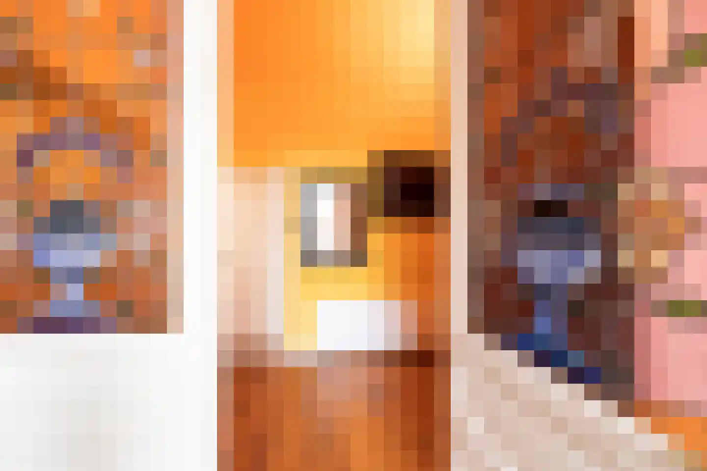 Rechtestraat 72 De Rijp thumbnail 17
