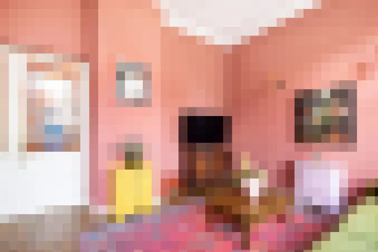 Rechtestraat 72 De Rijp thumbnail 20