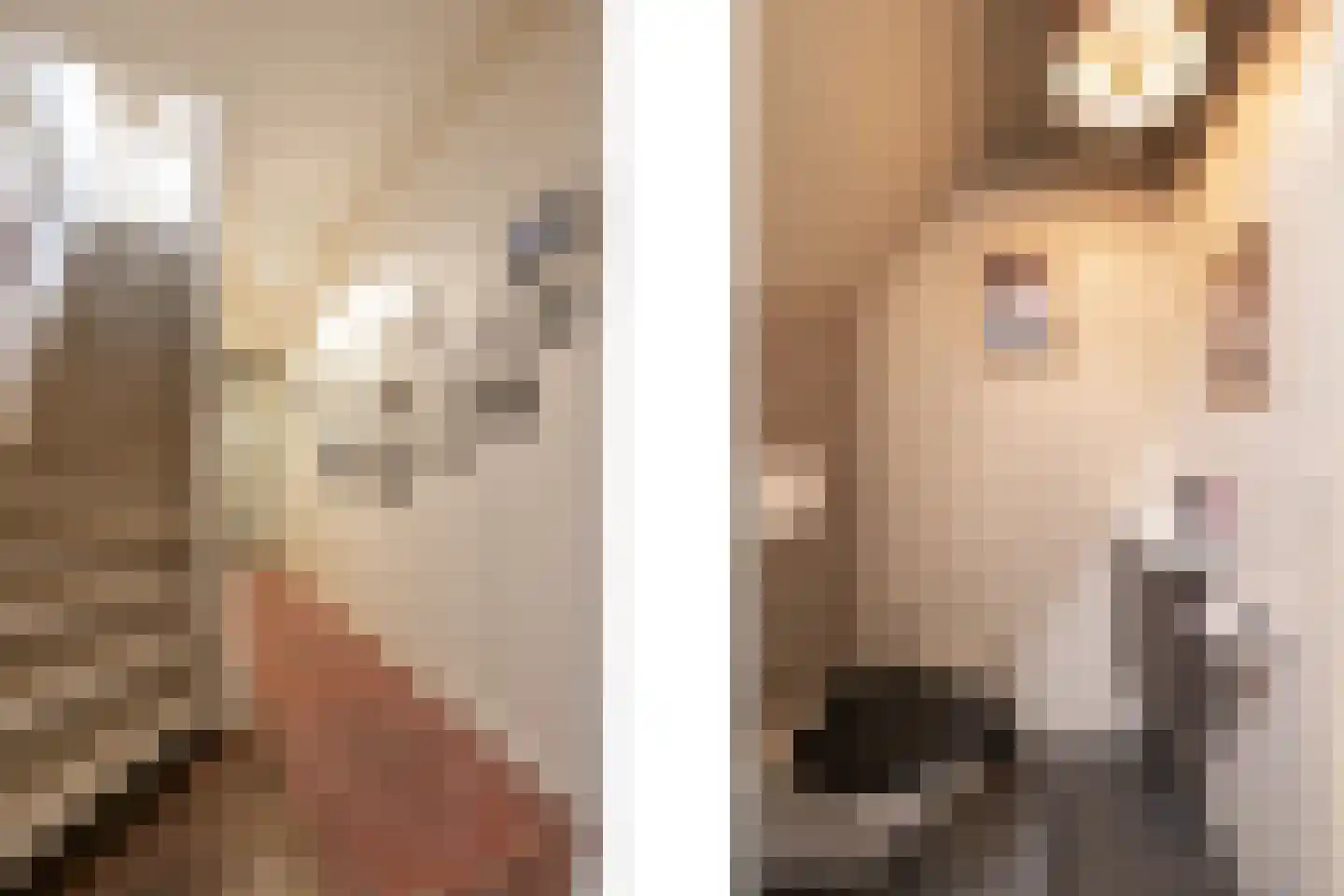 Rechtestraat 72 De Rijp thumbnail 69