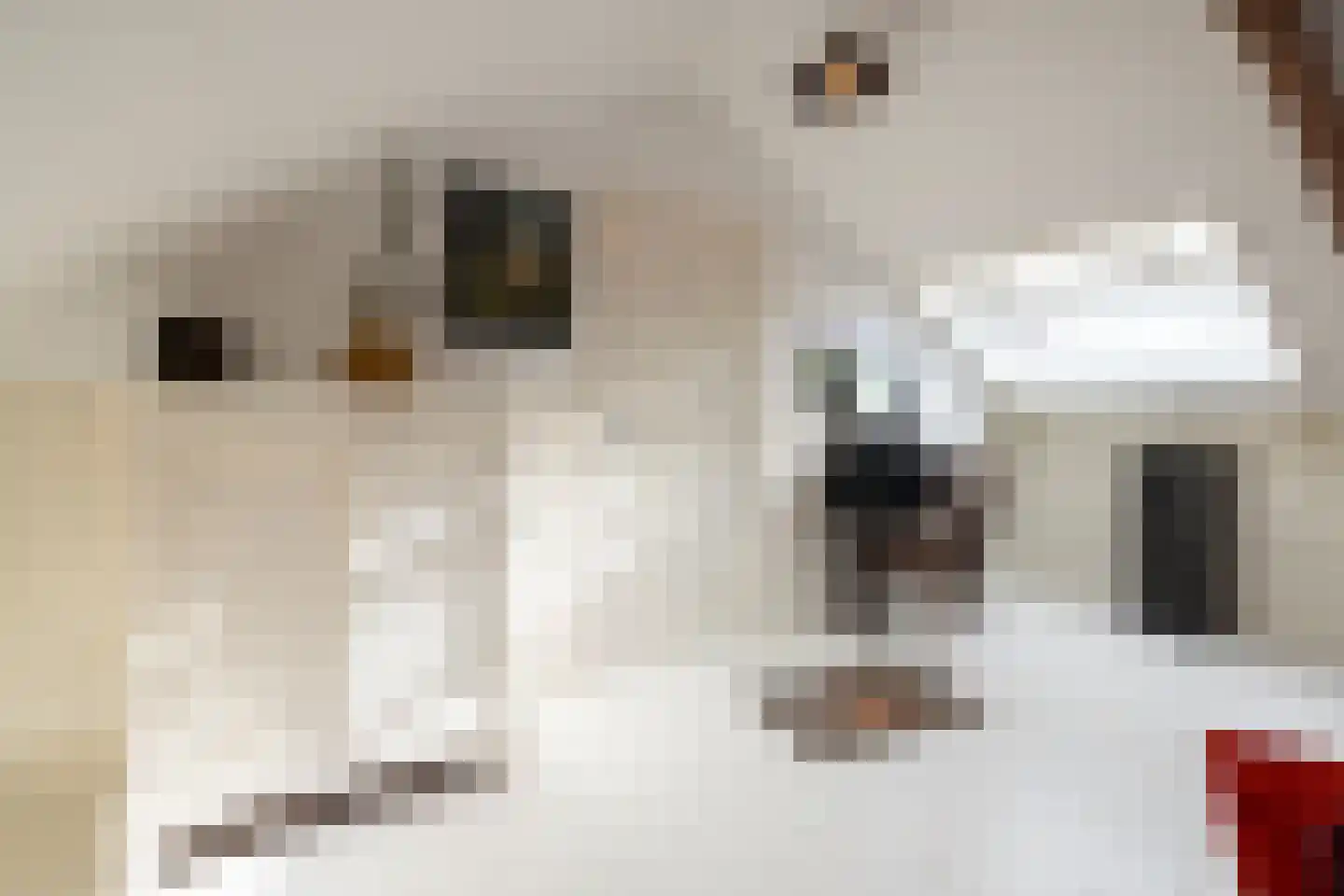 Rechtestraat 72 De Rijp thumbnail 76