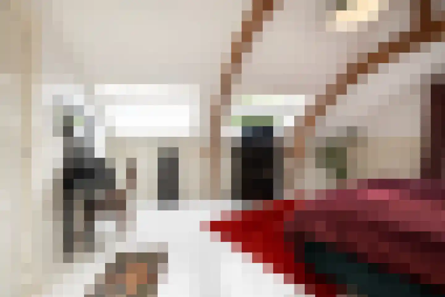 Rechtestraat 72 De Rijp thumbnail 78