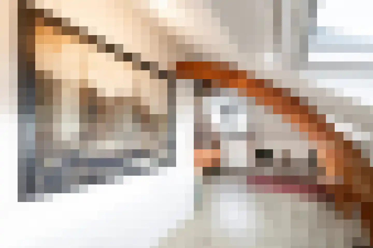 Rechtestraat 72 De Rijp thumbnail 81