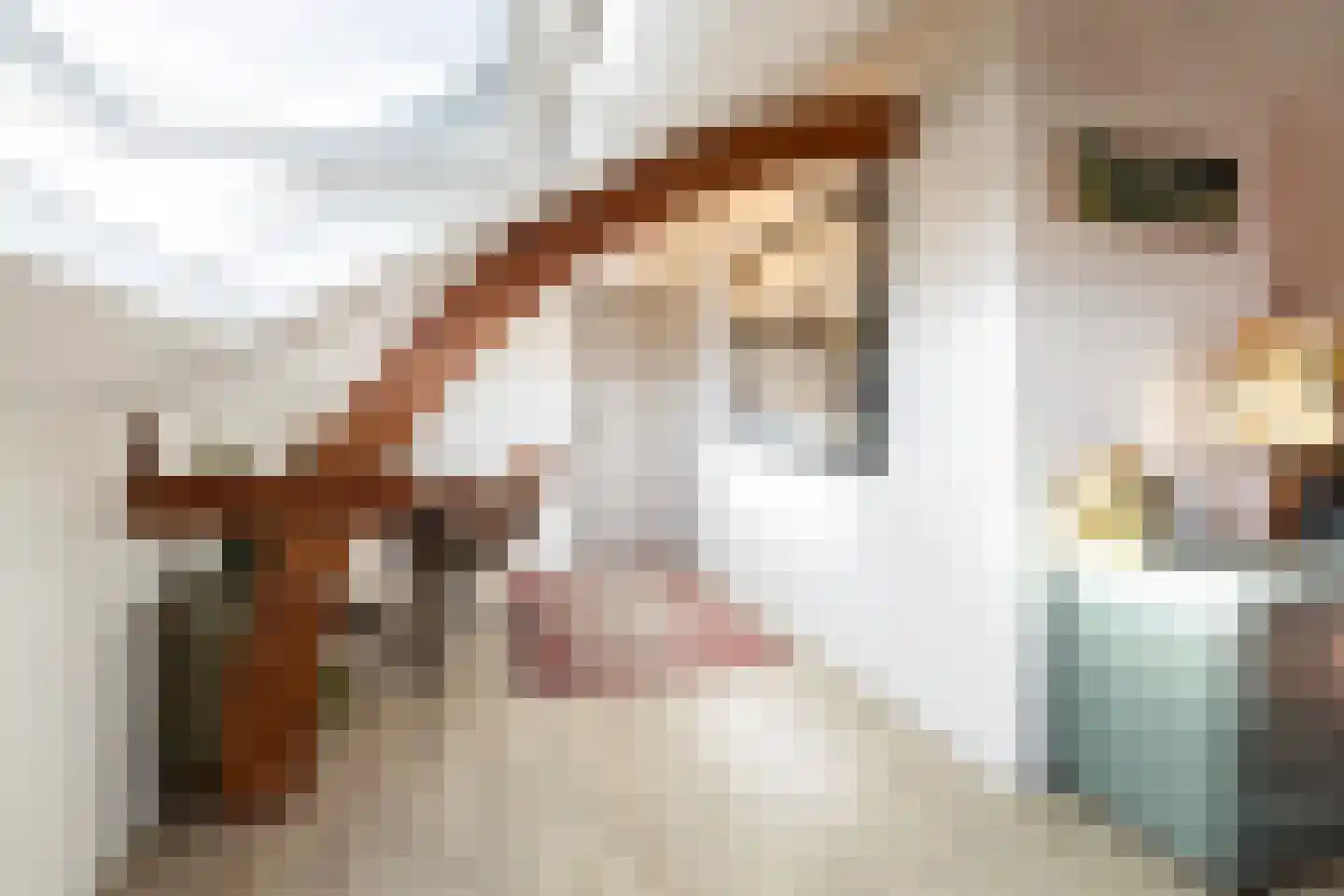 Rechtestraat 72 De Rijp thumbnail 86