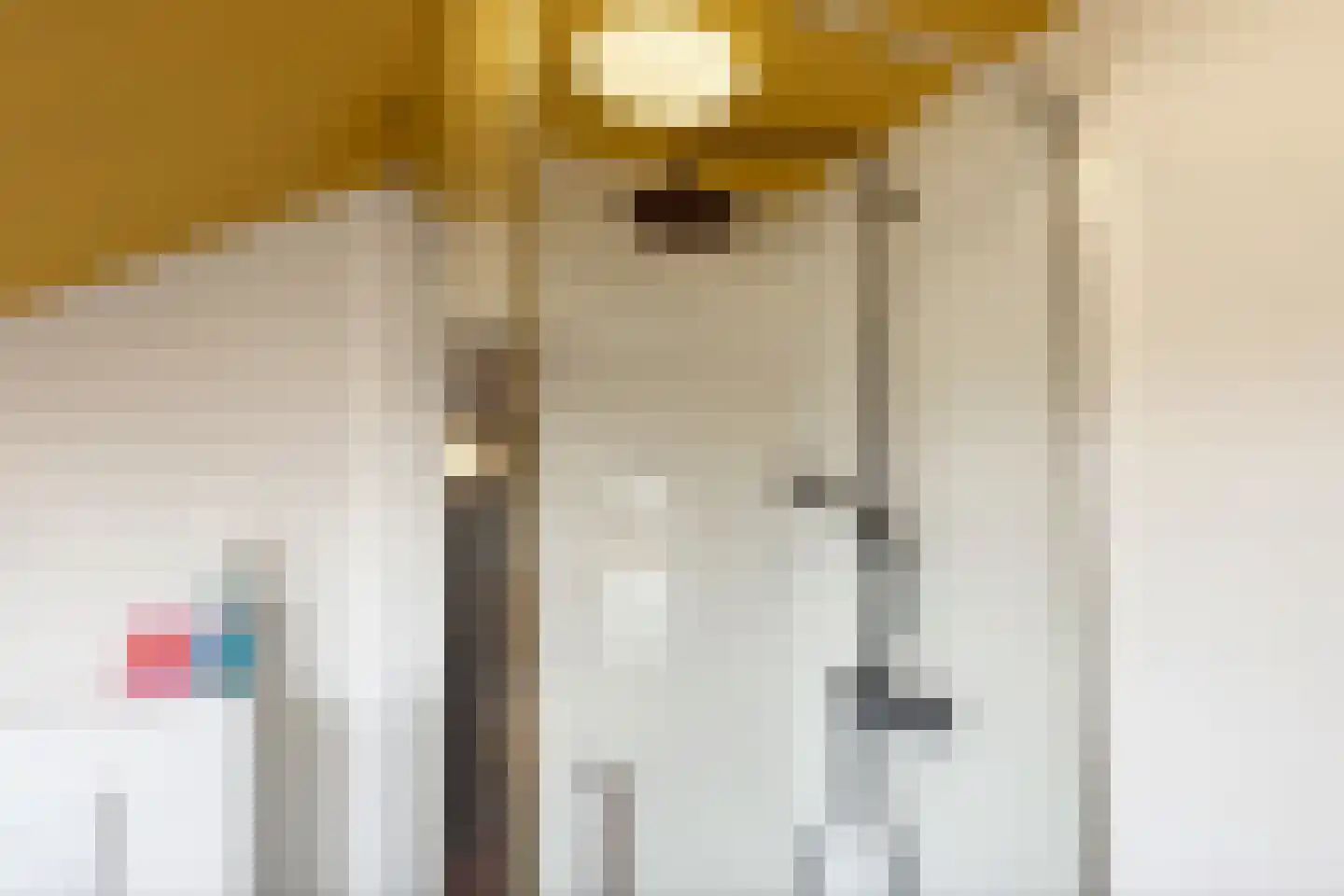 Rechtestraat 72 De Rijp thumbnail 87