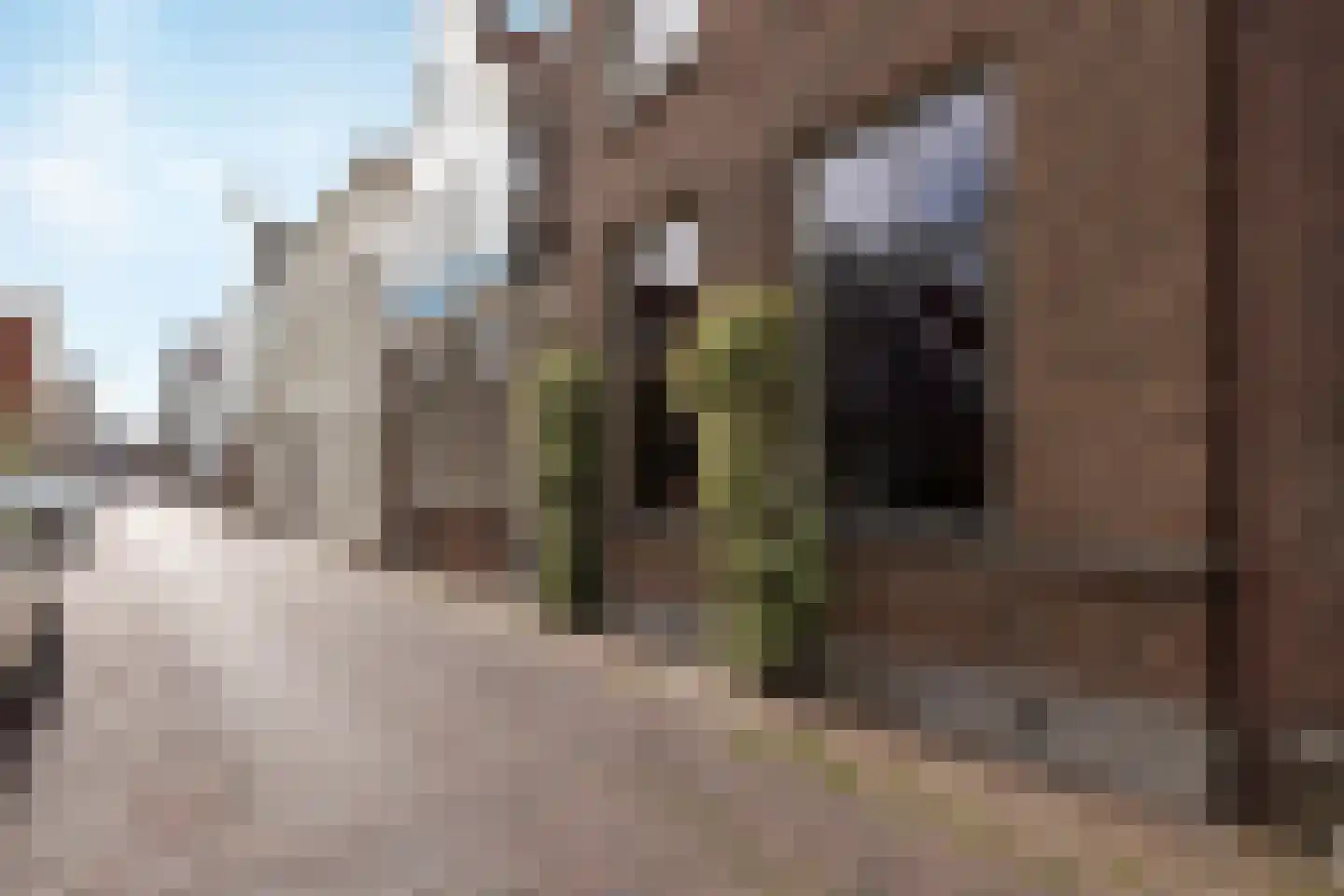 Rechtestraat 72 De Rijp thumbnail 90