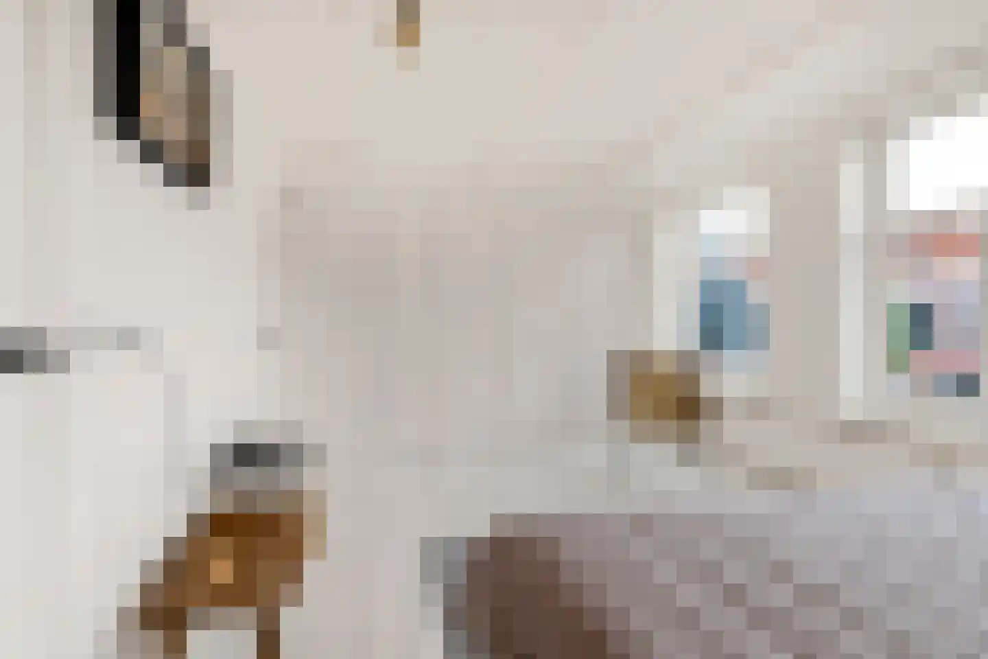 Rechtestraat 9 De Rijp thumbnail 27