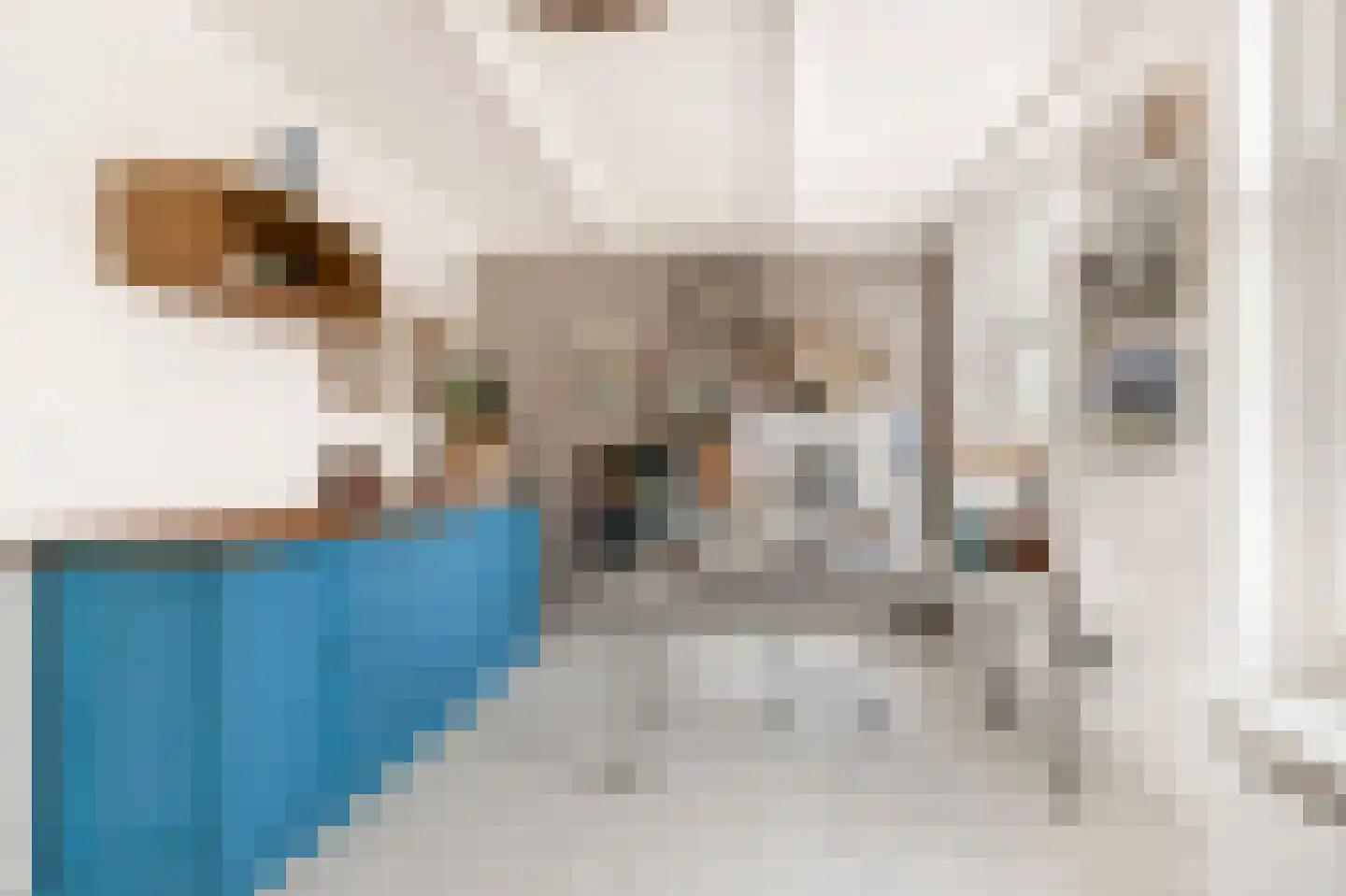 Rechtestraat 9 De Rijp thumbnail 36