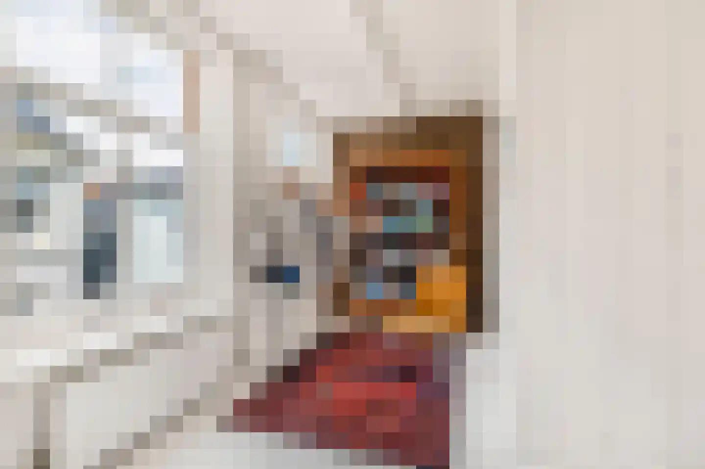 Rechtestraat 9 De Rijp thumbnail 37