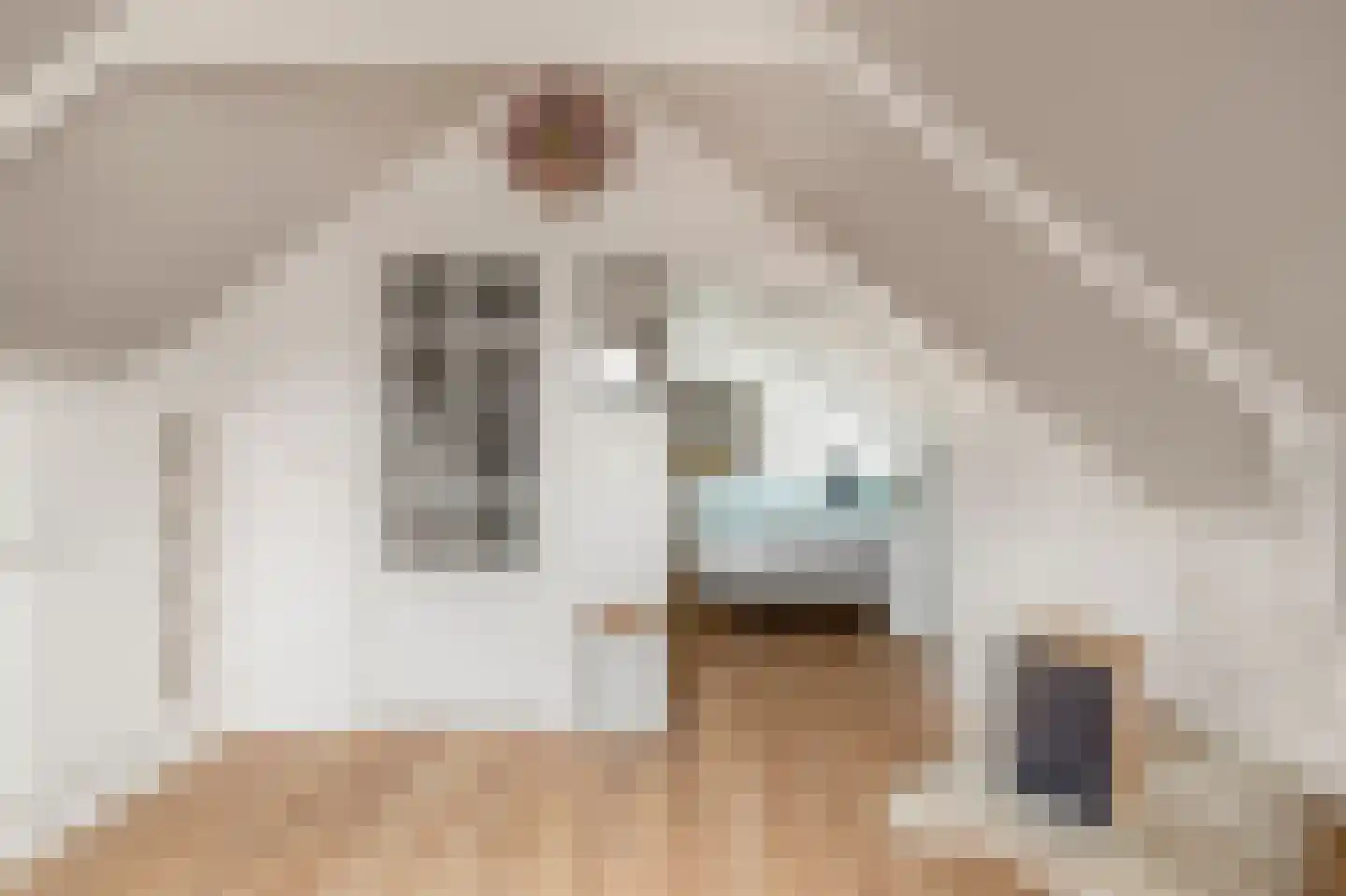 Rechtestraat 9 De Rijp thumbnail 41
