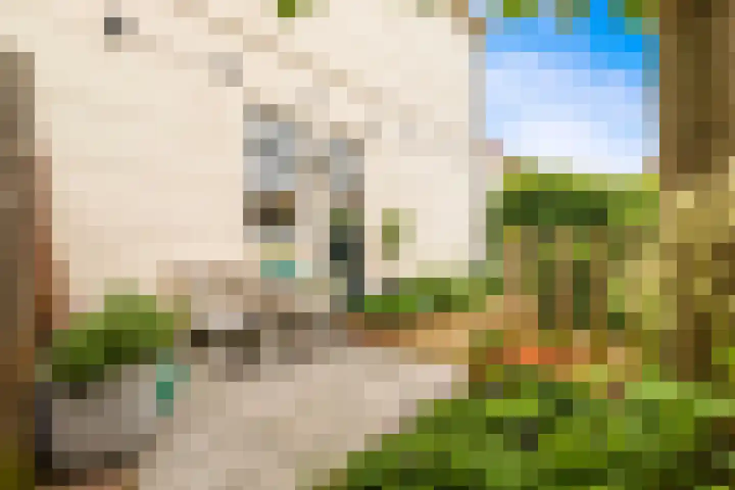Rechtestraat 9 De Rijp thumbnail 46