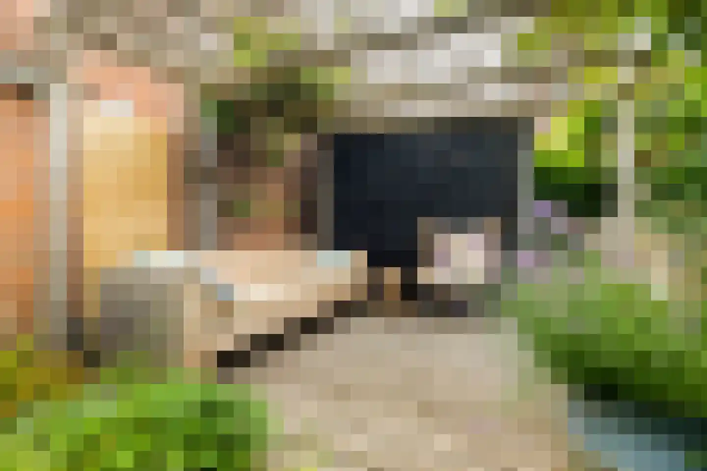 Rechtestraat 9 De Rijp thumbnail 49
