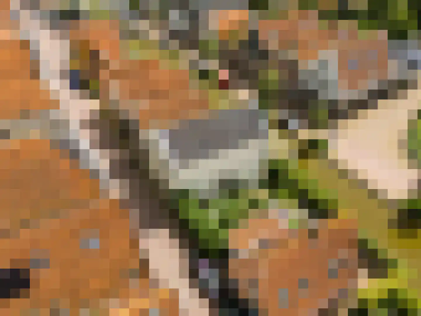 Rechtestraat 9 De Rijp thumbnail 58