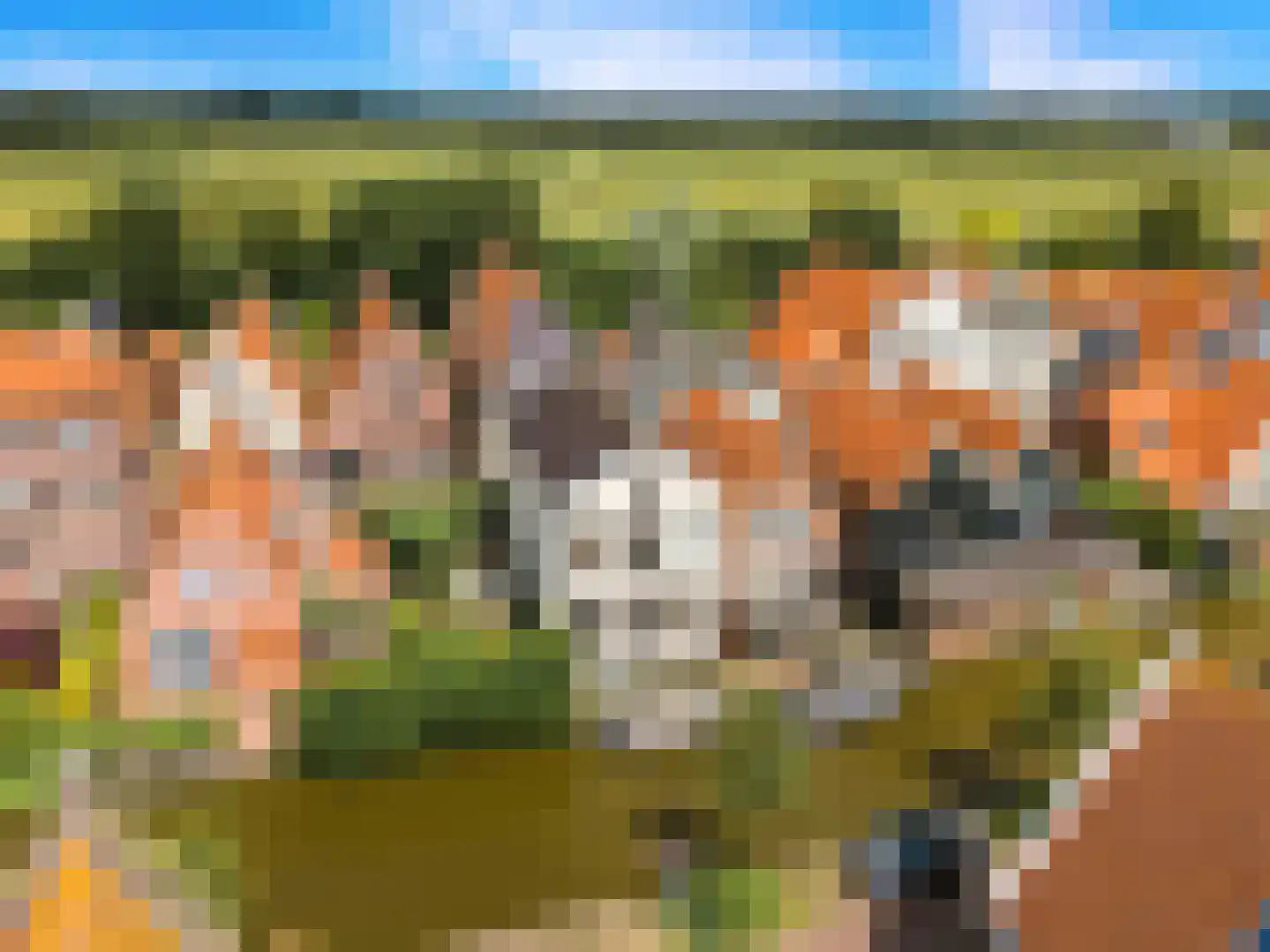 Rechtestraat 9 De Rijp thumbnail 59