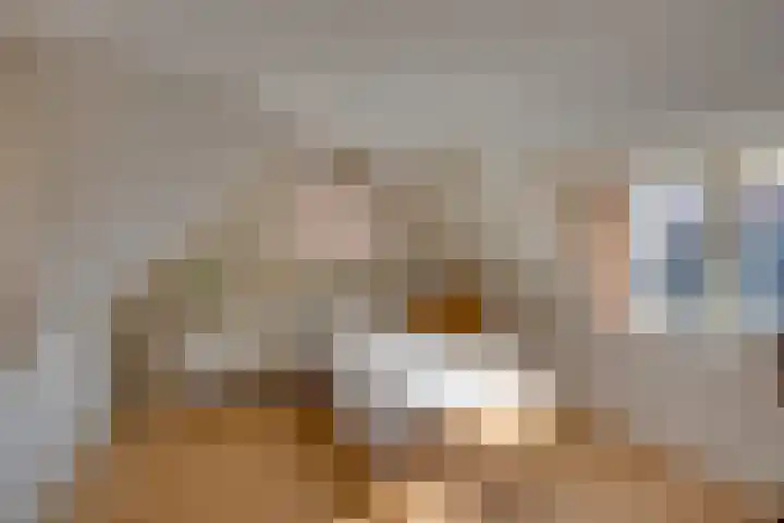 Rechtestraat 95 De Rijp thumbnail 27