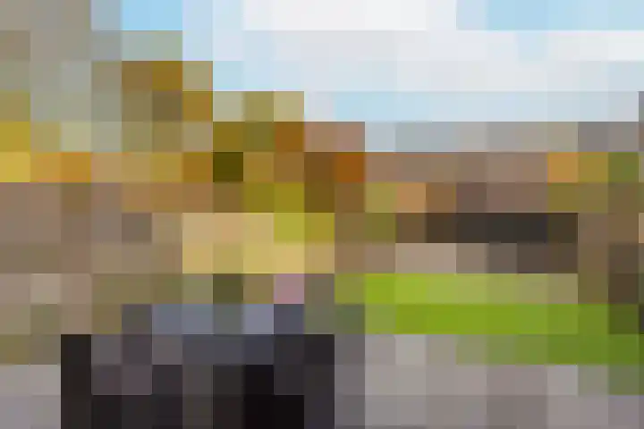 Rechthuisdrift 84 Nieuwegein thumbnail 47