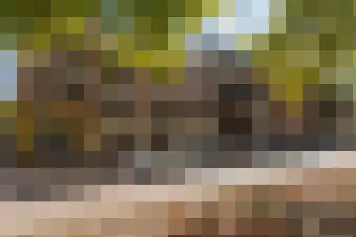 Rechthuislaan 20 A in Rotterdam