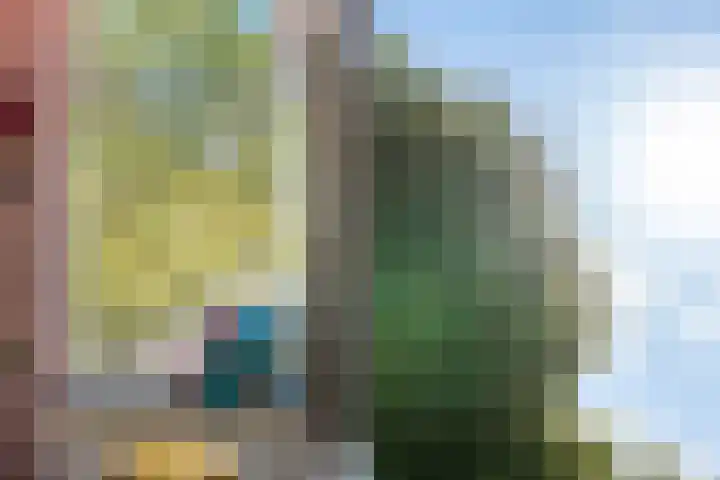 Rechthuislaan 20 A Rotterdam thumbnail 11