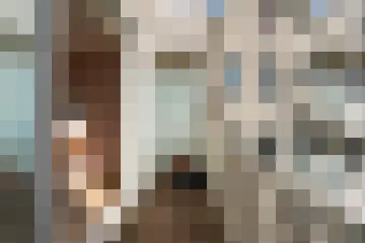 Rechthuislaan 20 A Rotterdam thumbnail 29