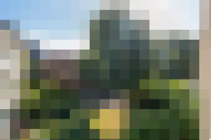 Rechthuislaan 20 A Rotterdam thumbnail 30