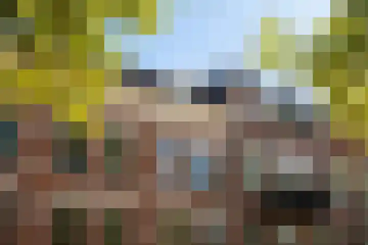 Rechthuislaan 20 A Rotterdam thumbnail 33