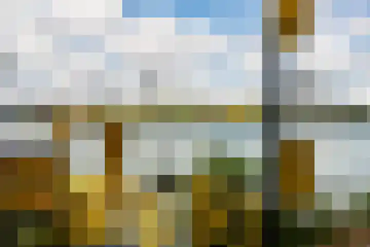 Rechthuislaan 20 A Rotterdam thumbnail 37