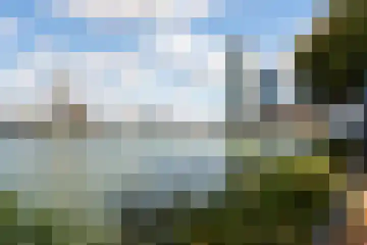 Rechthuislaan 20 A Rotterdam thumbnail 38