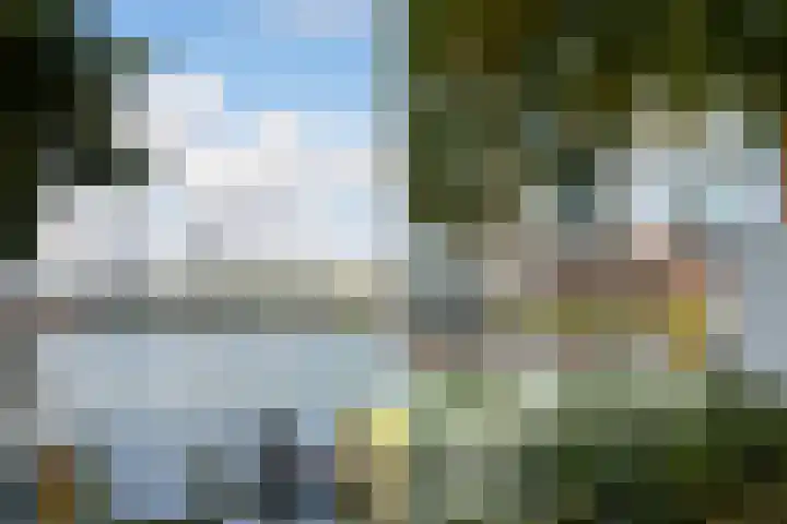 Rechthuislaan 20 A Rotterdam thumbnail 39