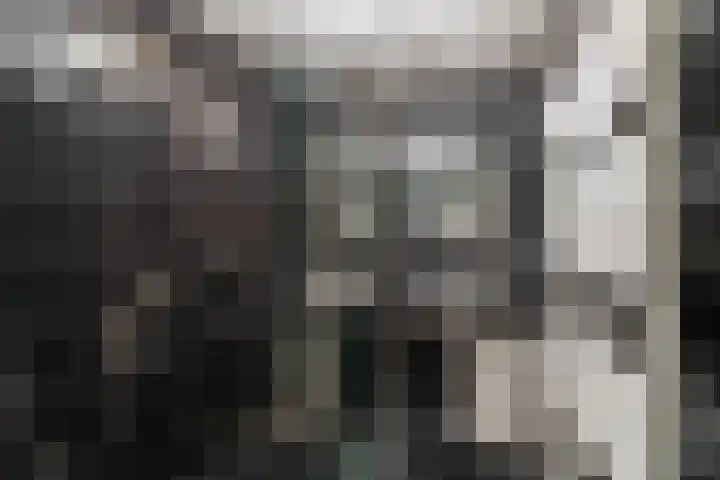 Rechthuislaan 20 A Rotterdam thumbnail 4