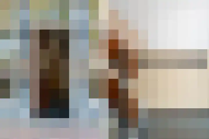 Rechthuislaan 20 A Rotterdam thumbnail 6