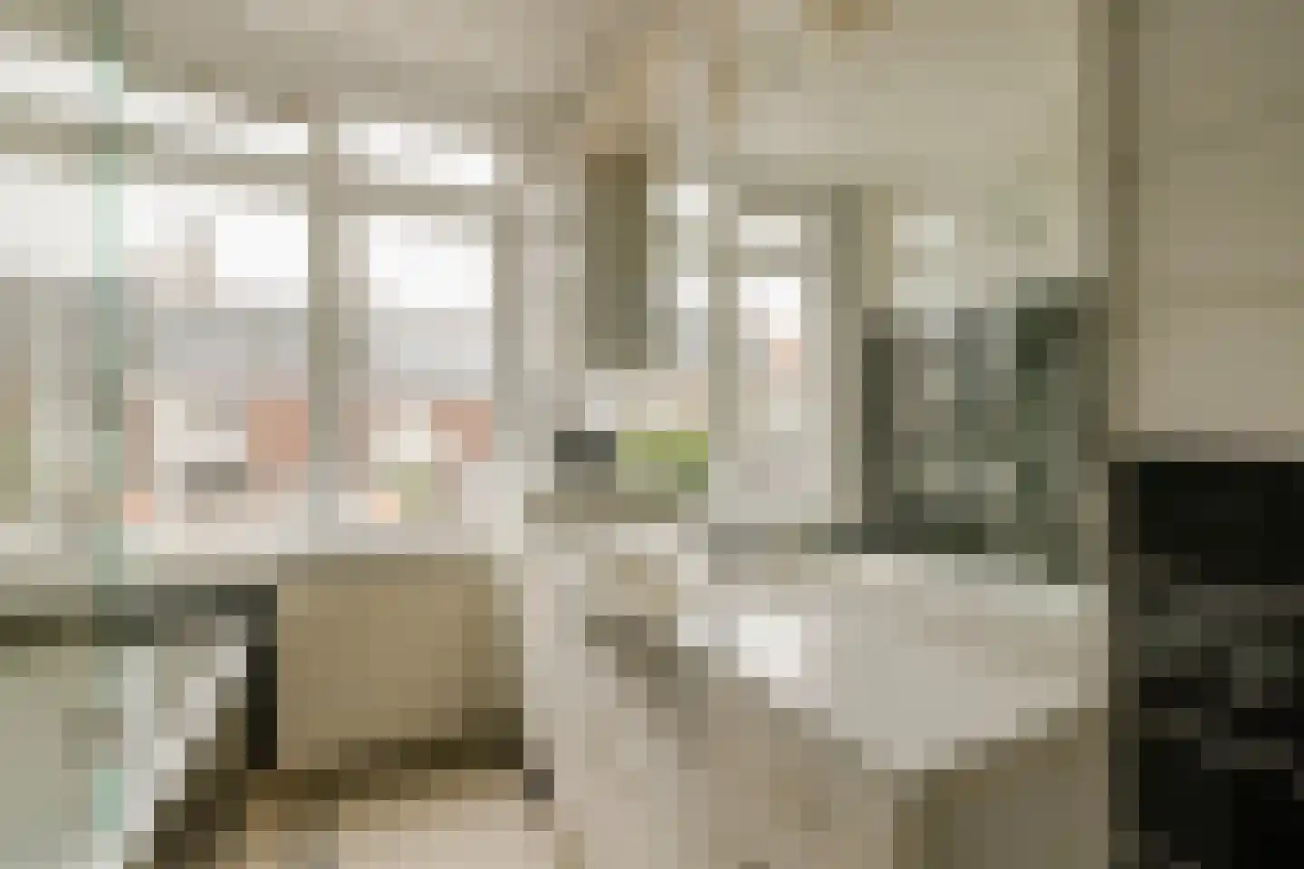 Rechthuisstraat 24 Haarlem thumbnail 16
