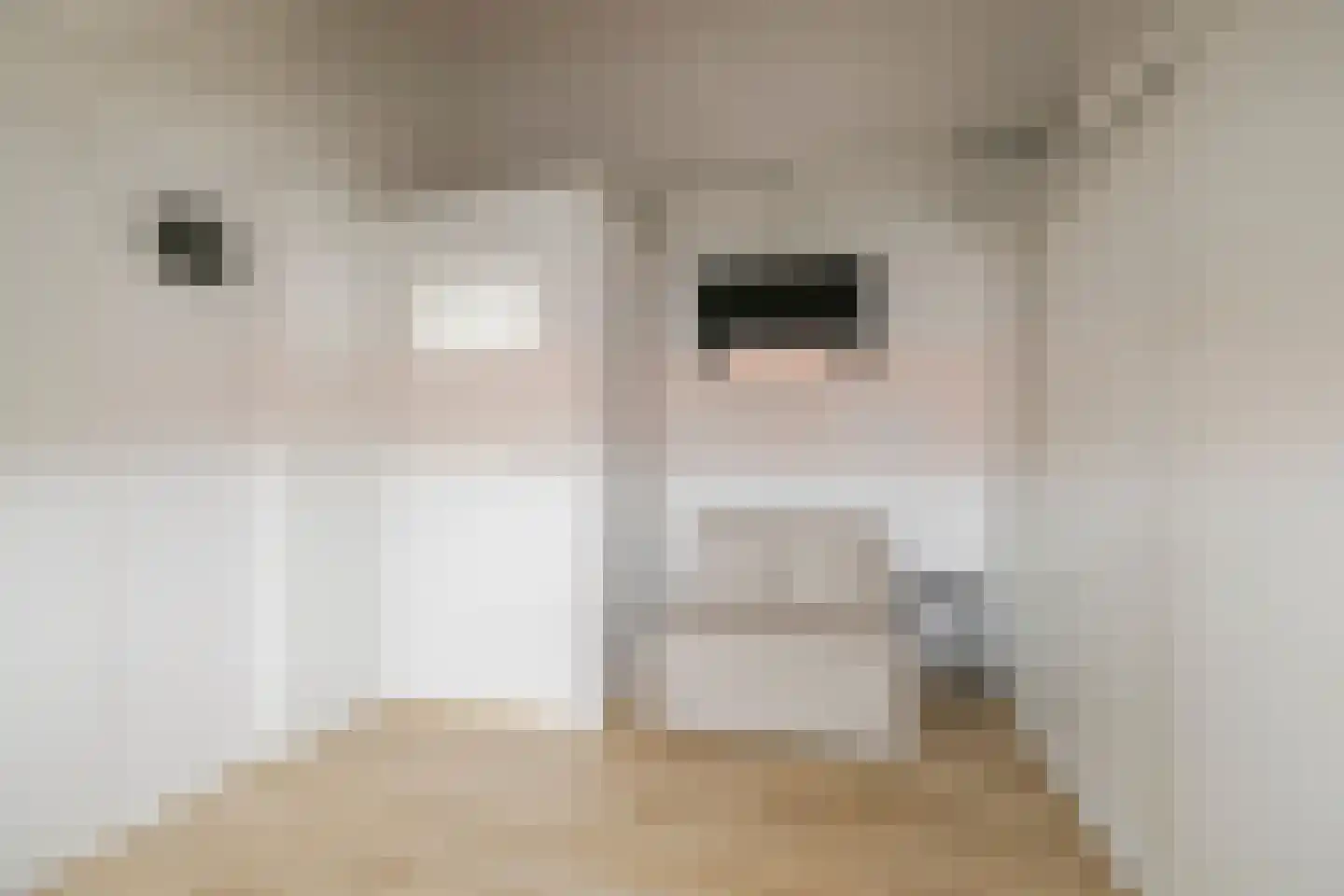 Rechthuisstraat 24 Haarlem thumbnail 21
