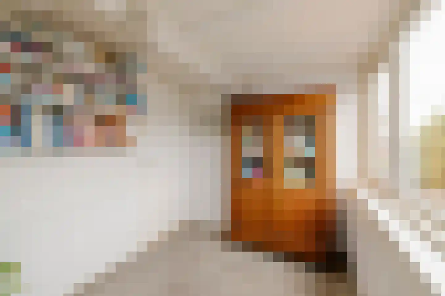 Rechthuisstraat 24 Haarlem thumbnail 24