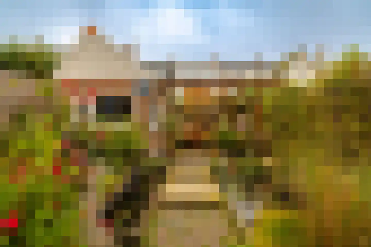Rechthuisstraat 24 Haarlem thumbnail 4